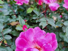 -人民公园(罗湖区)