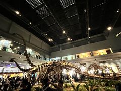 -自贡恐龙博物馆