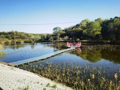 -大青沟风景区