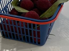 -美兰春记食店·龙舌坡红烧牛肉