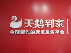 -天鹅到家·保姆月嫂育儿嫂(南开店)