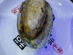 清蒸鲍鱼-九层海鲜塔(市南店)