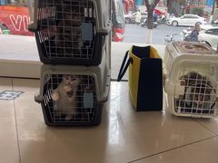 -艾贝尔宠物医院 ·中兽医·宠保定点(北门桥店)