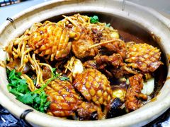 -金龙·打边炉(武进路店)