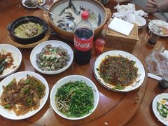 -全乐鱼馆·淳牌有机鱼直营店