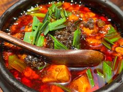 -陈麻婆豆腐(旗舰店)