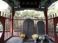 -武侯墓风景区