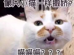 -谈骨论斤大盆骨(顺义店)