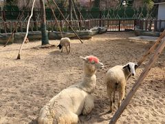 -广州融创文旅城