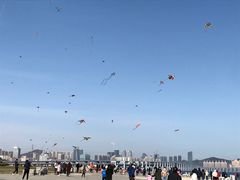 -星海湾跨海大桥