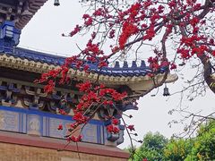 -广州中山纪念堂