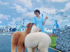 -Blue Concept Cafe&Farm·關於藍