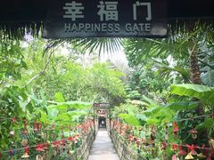 -呀诺达热带雨林