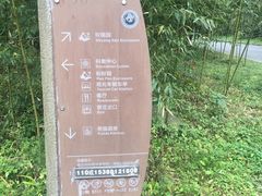 -都江堰中华大熊猫苑