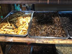 -昆虫窝子·特色云南菜(拓东路总店)