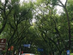 -桂林两江四湖景区