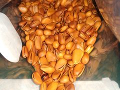 -隆美栗园(活力城店)