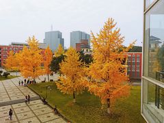 -四川大学(望江校区)