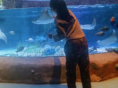 -沈阳海洋探索中心