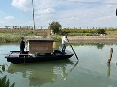 -小陆莲花蟹园农家乐(莲花岛店)