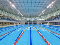 -奥体中心游泳馆