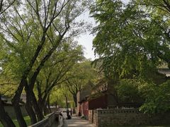 -晋祠公园