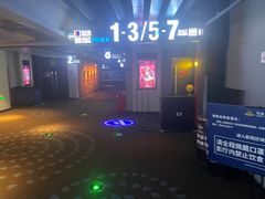 -万达影城(闵行颛桥万达广场杜比影院店)