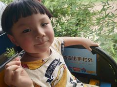-美心红酒小镇游乐园