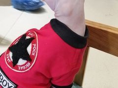 -藏猫猫咖啡主题馆(中央大道店)