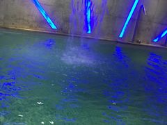 -纽斯桑拿会所(天山店)