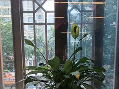 -四世同堂·京菜·烤鸭(双井店)