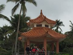-东郊椰林