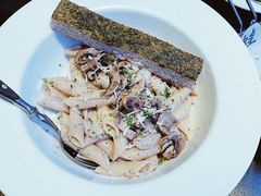 -bluefrog蓝蛙(皇庭广场店)