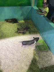 -酷嗒动物文化乐园(cutezoo西溪乐天城店)