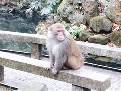 -句容茅山景区