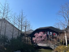 -雅达·阳羡溪山小镇中心
