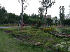 -府河摄影公园