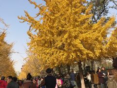 -辽宁大学(崇山校区)