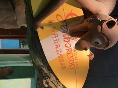 -杭州开元森泊度假乐园