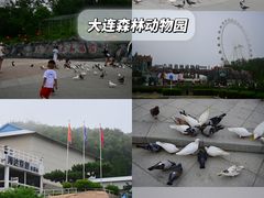 -大连海昌发现王国主题公园