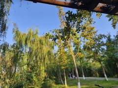 -白鹭湾湿地公园