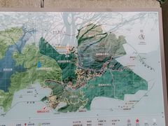 -梧桐山风景名胜区