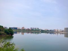 -立新湖公园