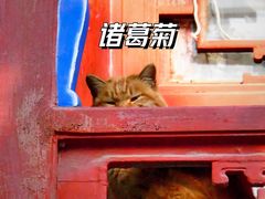 -大钟寺古钟博物馆