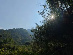 -秦岭风景区
