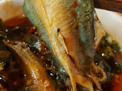 -红鼎坊·老成都火锅(新南门店)