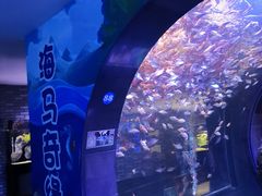 -成都浩海立方海洋公园