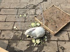 -天毓山庄·餐厅