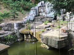 -深圳仙湖植物园