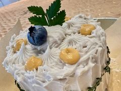 -野草莓自由市场
